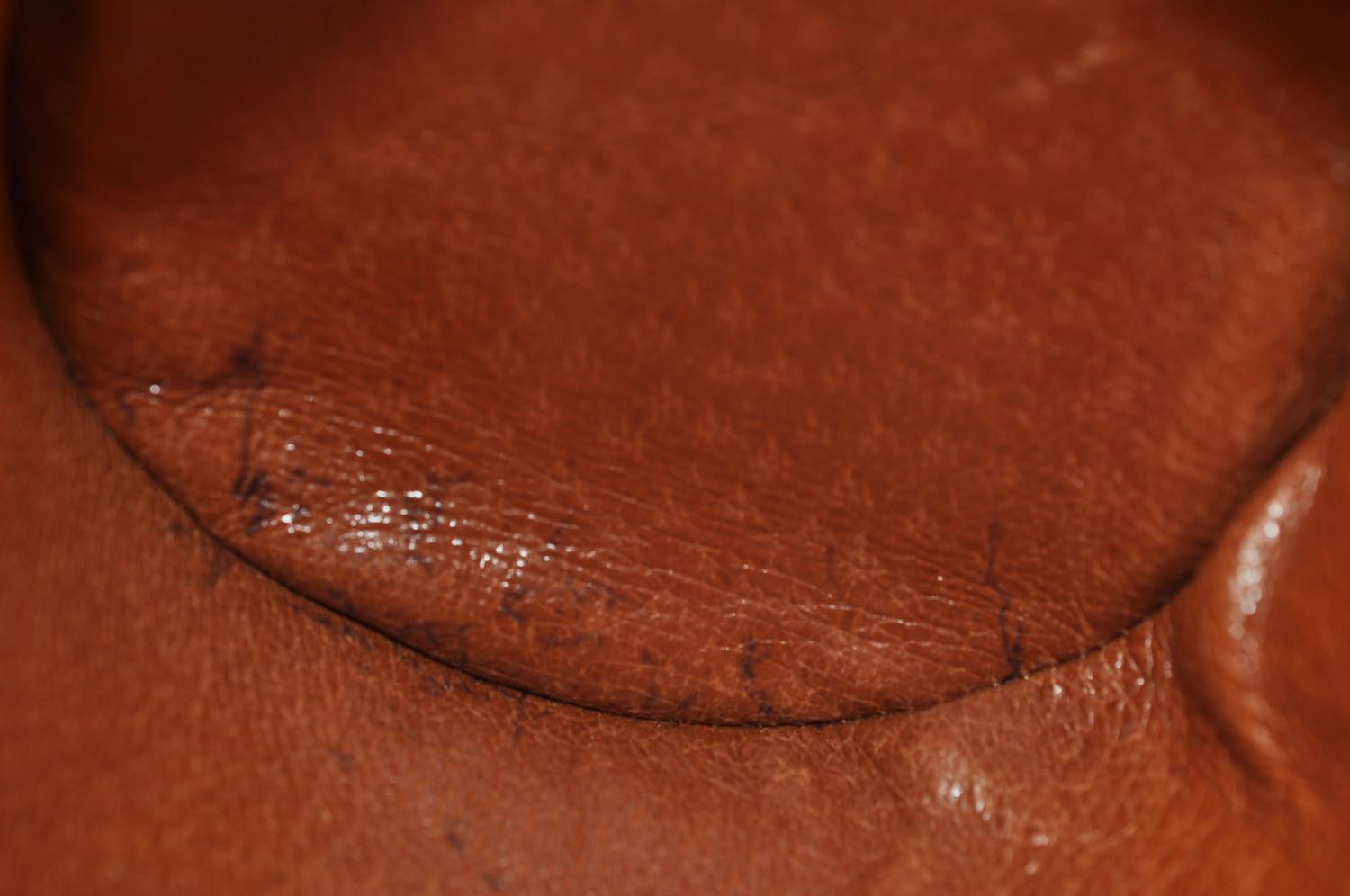 th_DSC_0164