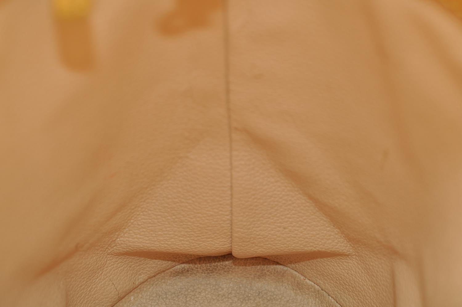 th_DSC_0198