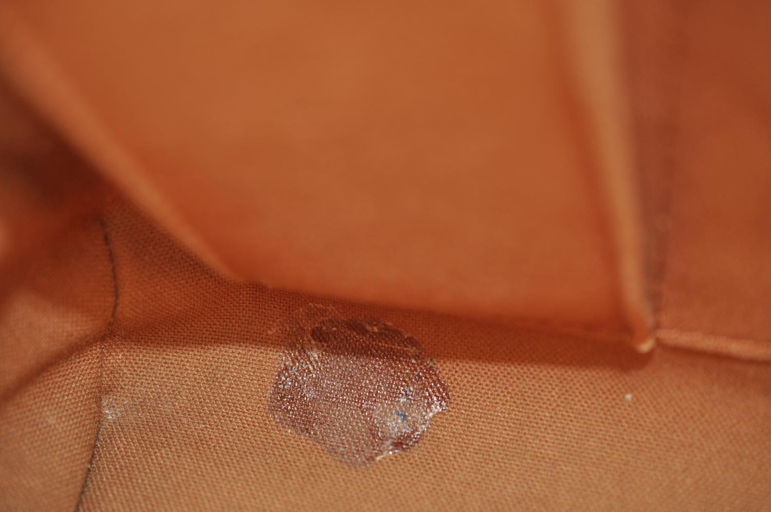 th_DSC_0224