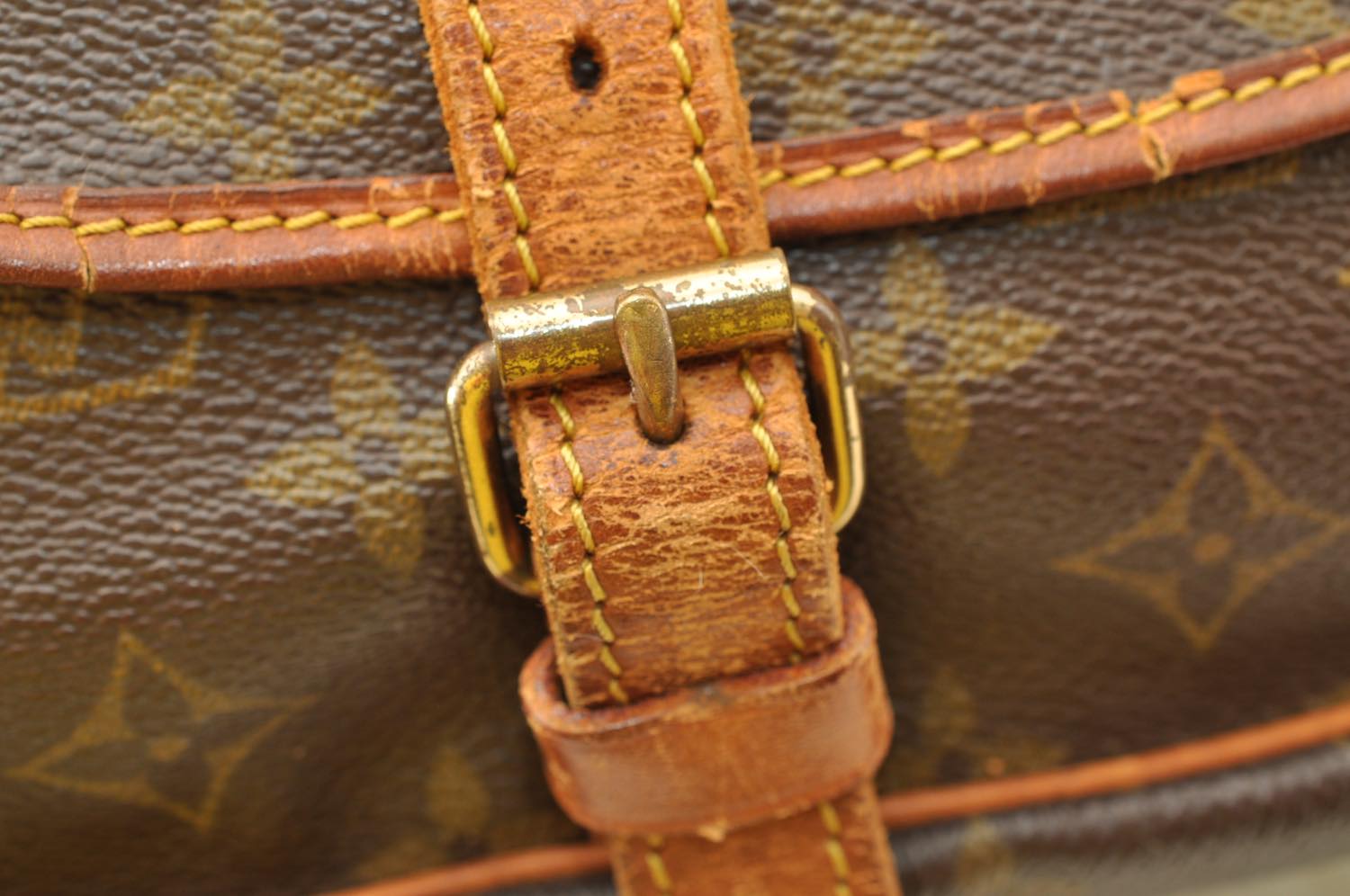th_DSC_0231