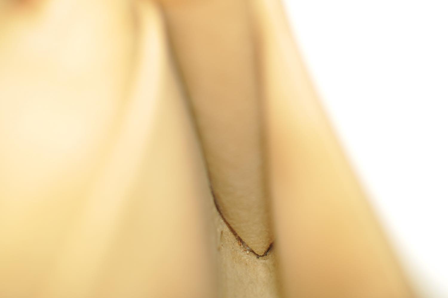 th_DSC_0242