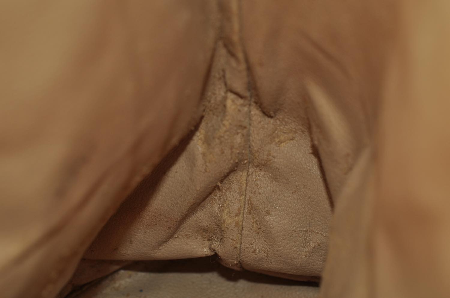 th_DSC_0021
