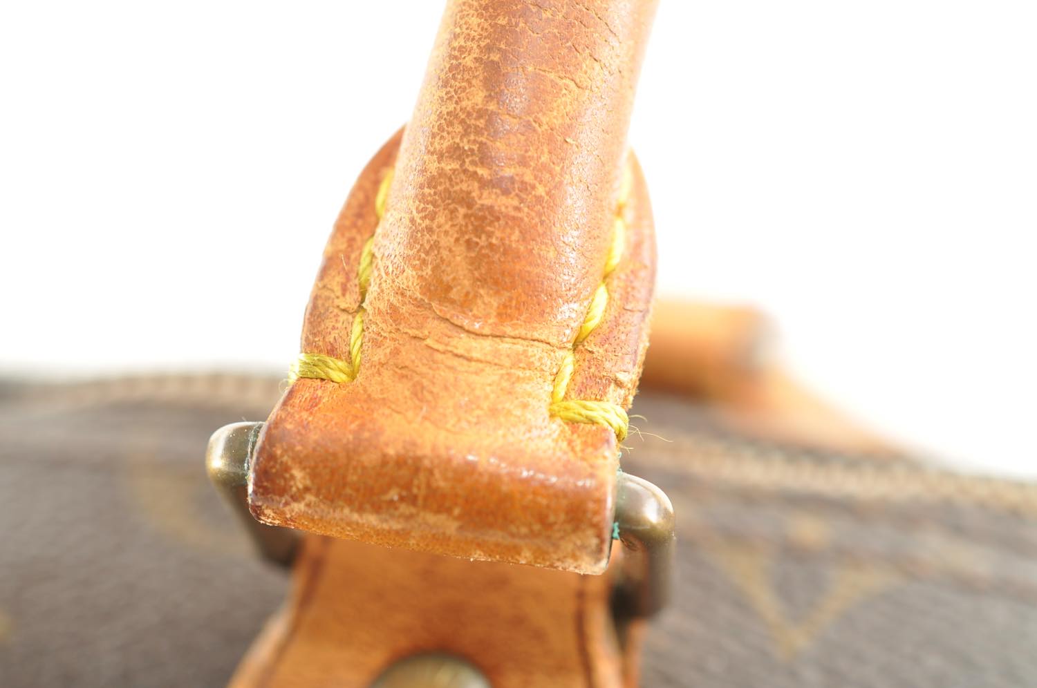 th_DSC_0240