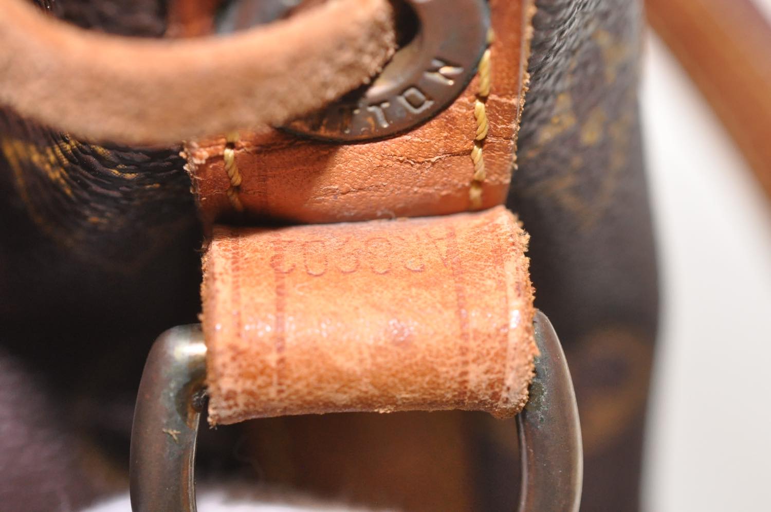 th_DSC_0305
