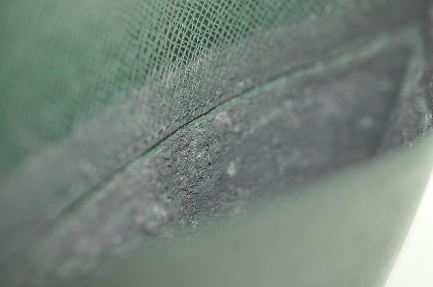 th_DSC_0345