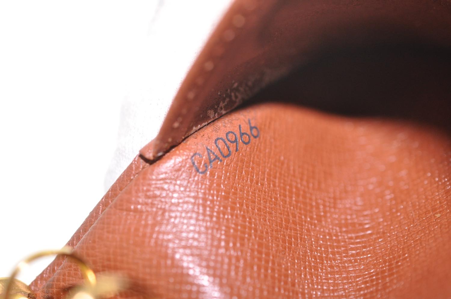 th_DSC_0567