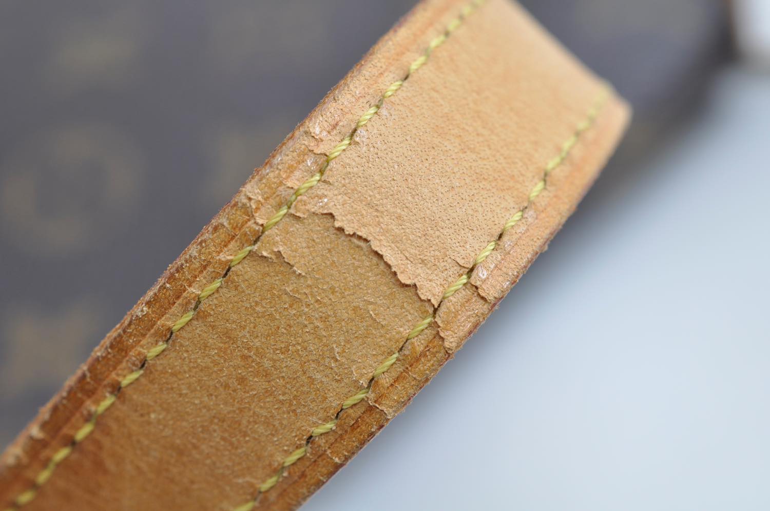 th__DSC0179