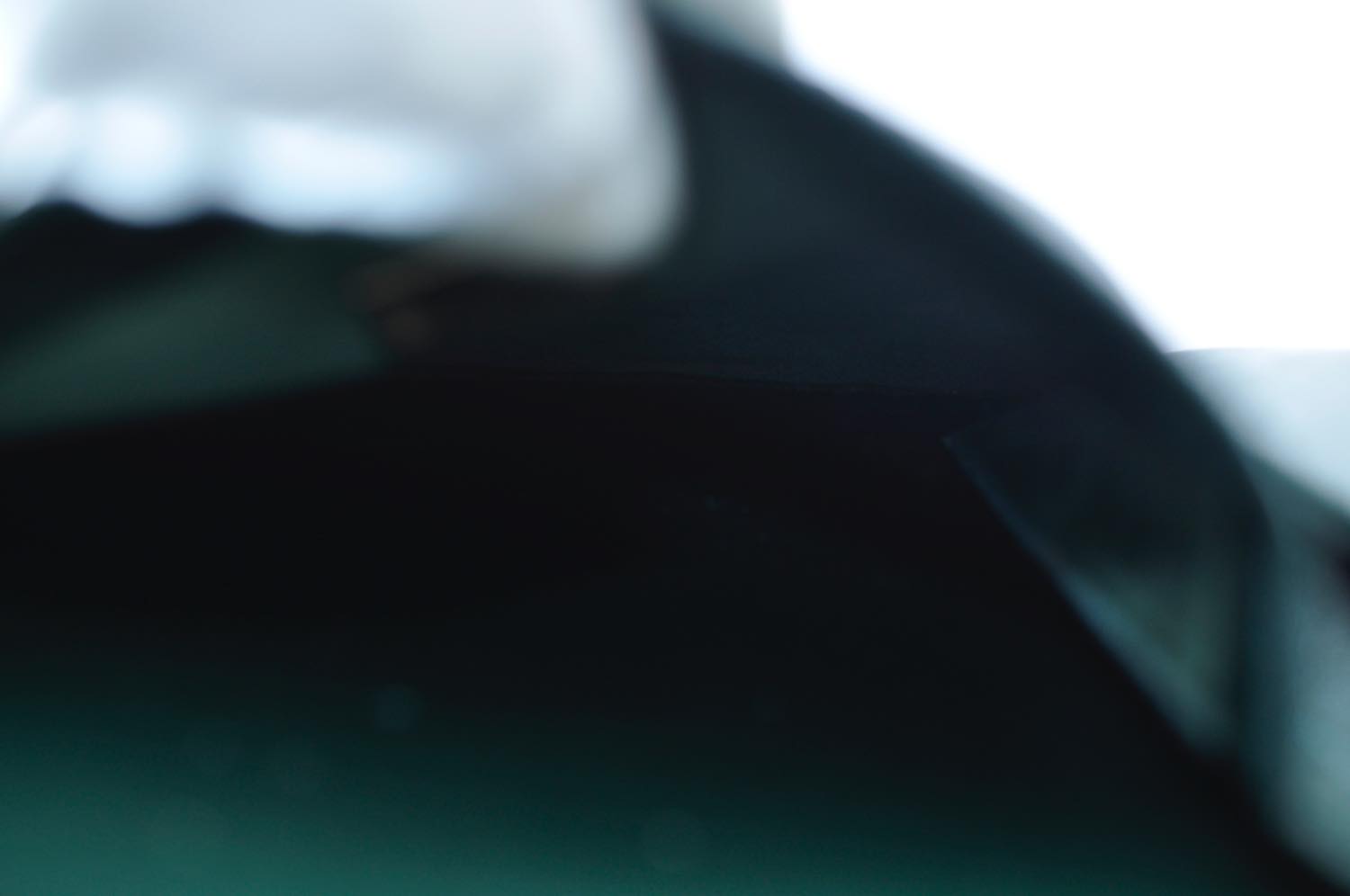 th__DSC0247