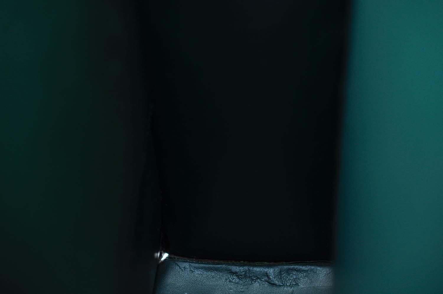 th__DSC0249