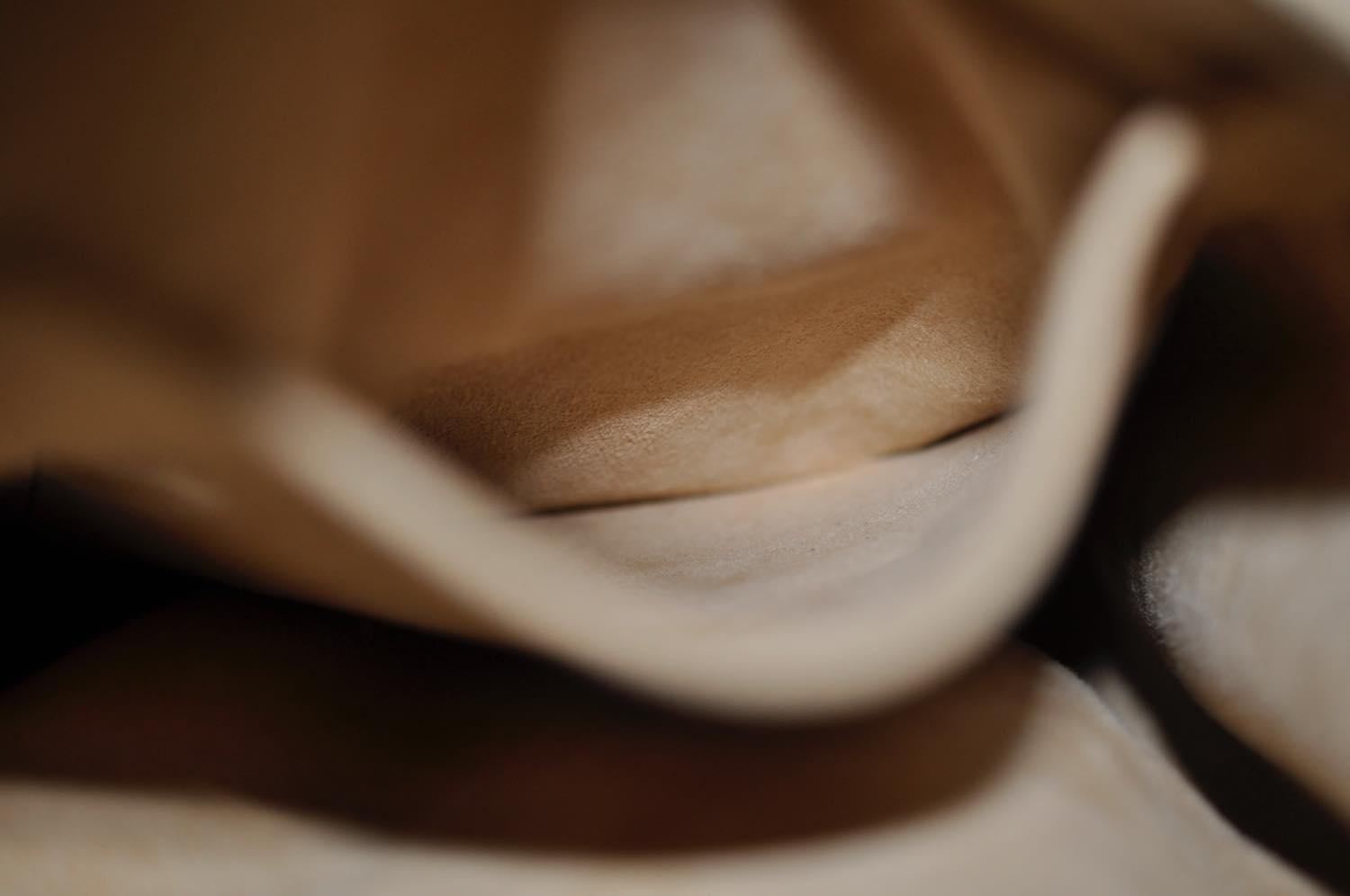 th__DSC0421