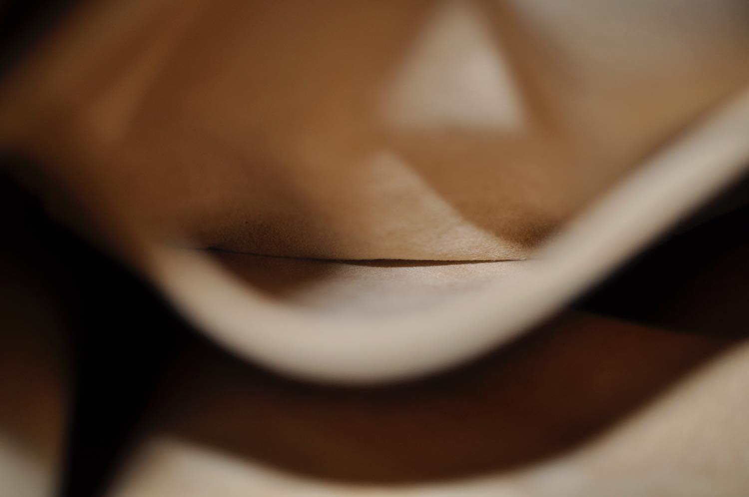 th__DSC0422