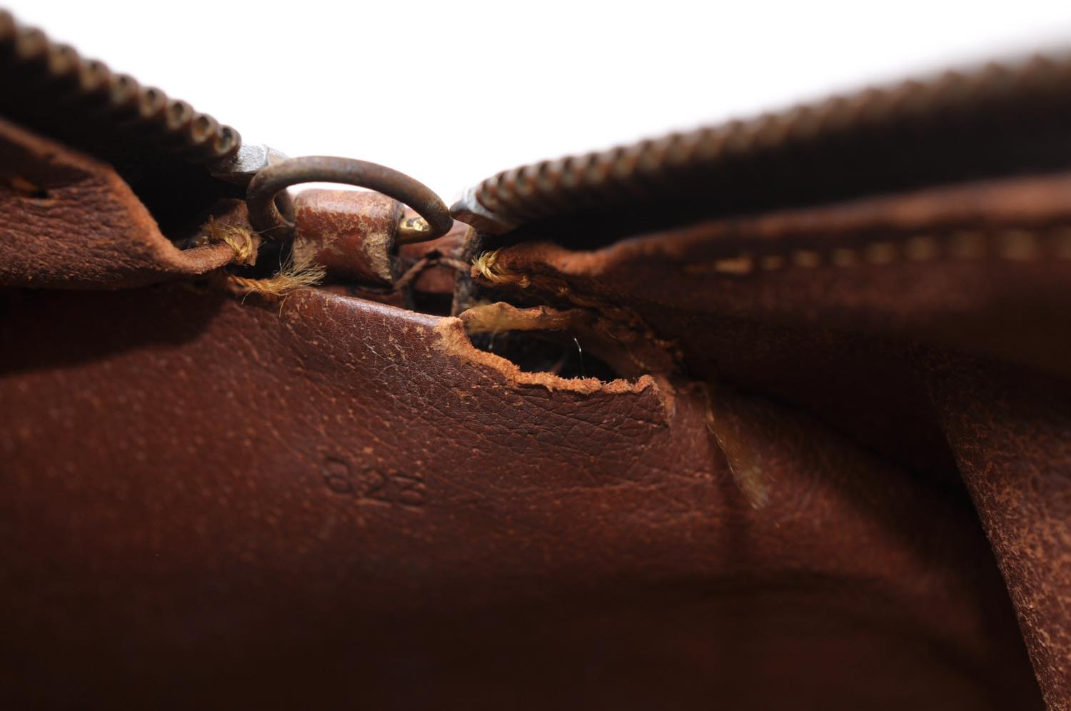 th_DSC_0214