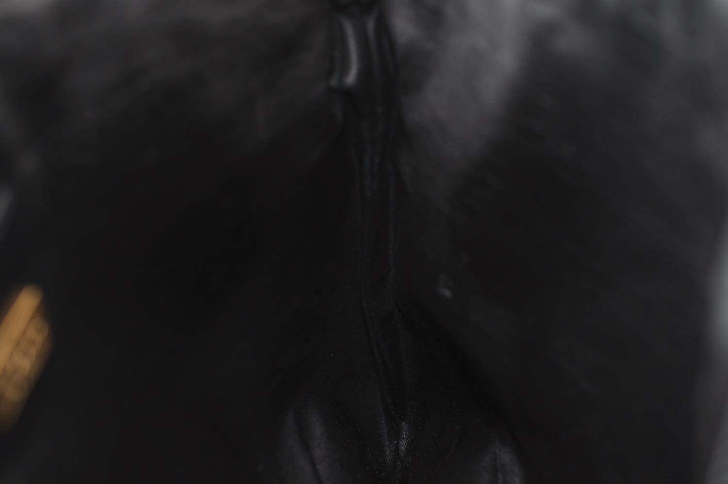 th_DSC_0342