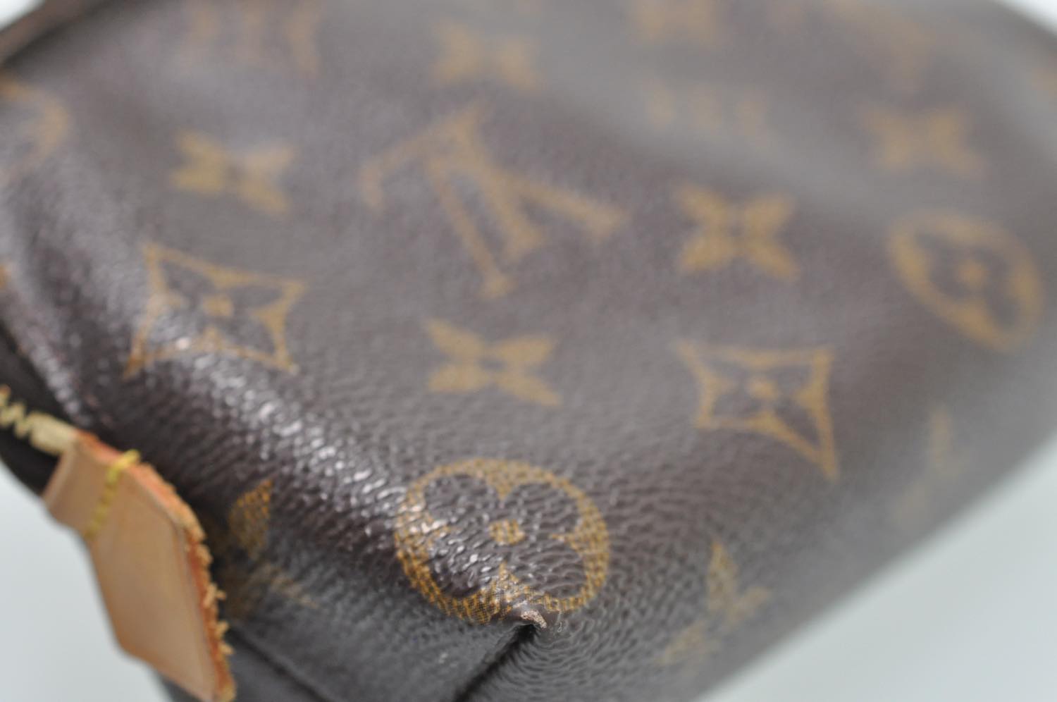 th_DSC_0400