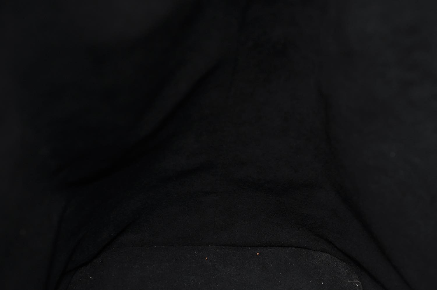 th_DSC_0531