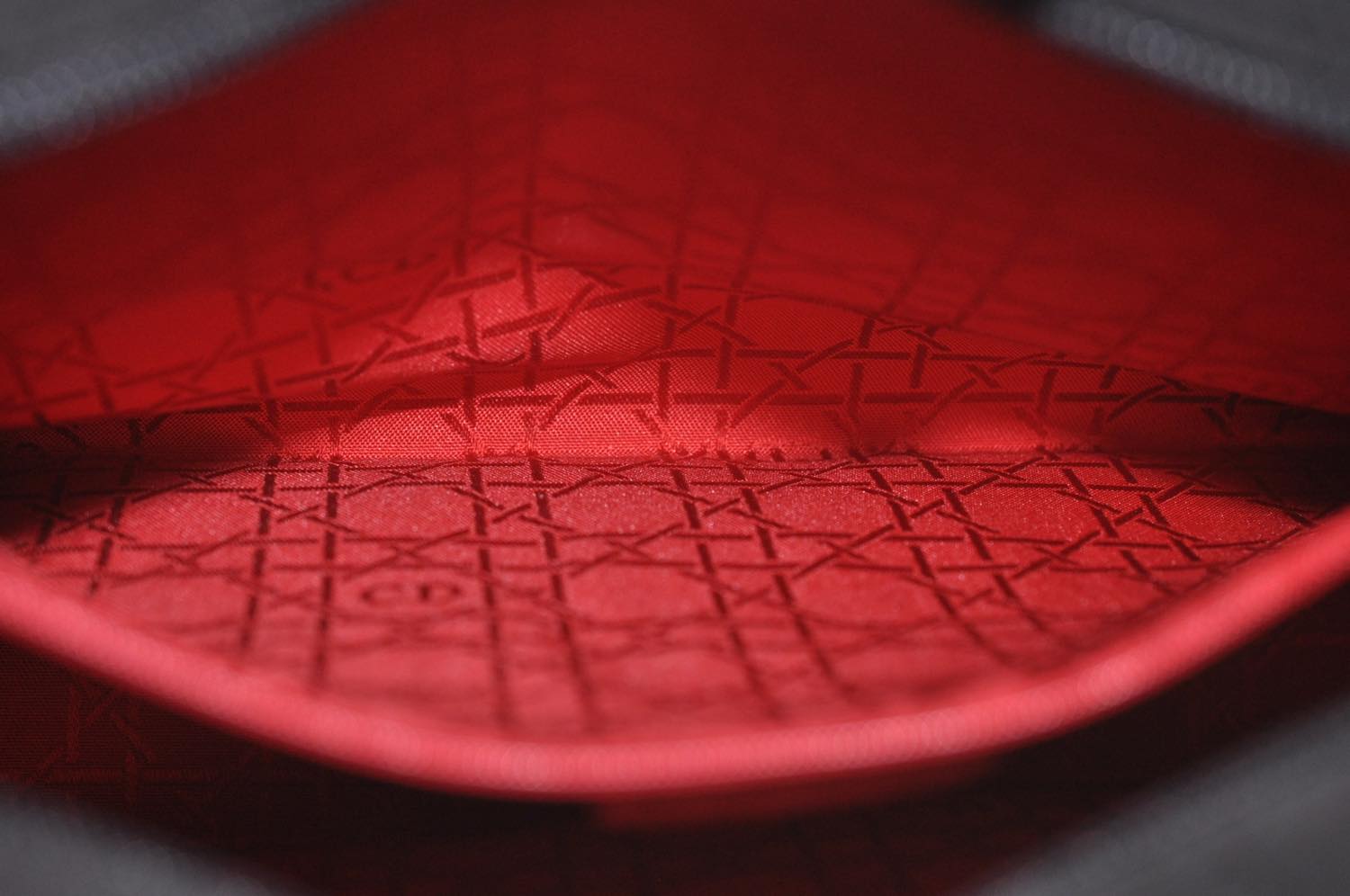 th_DSC_0546