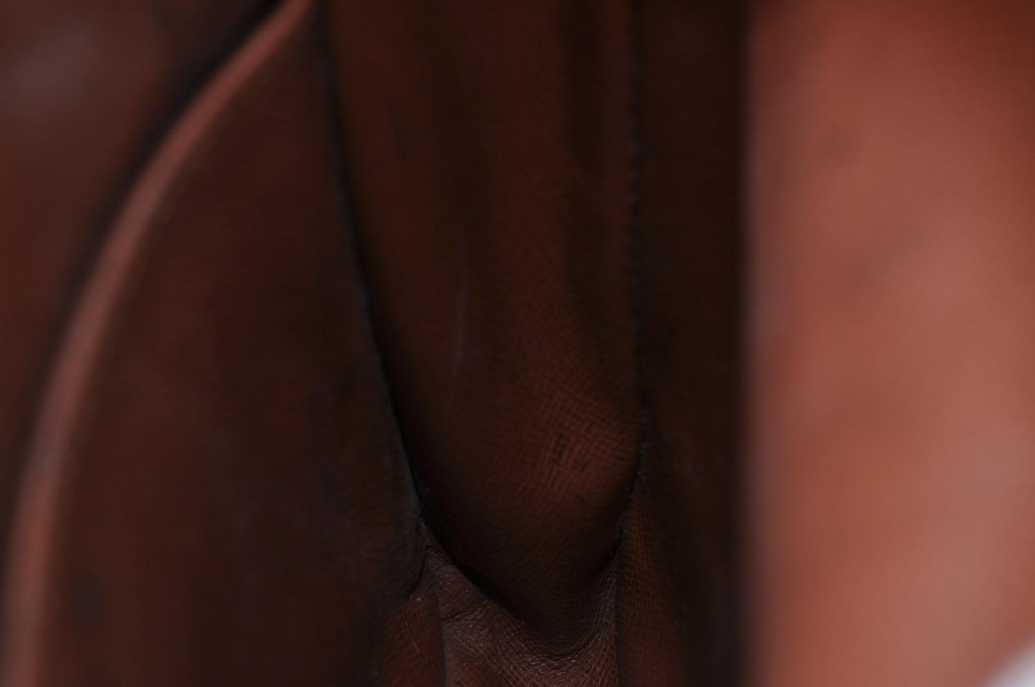 th_DSC_0555