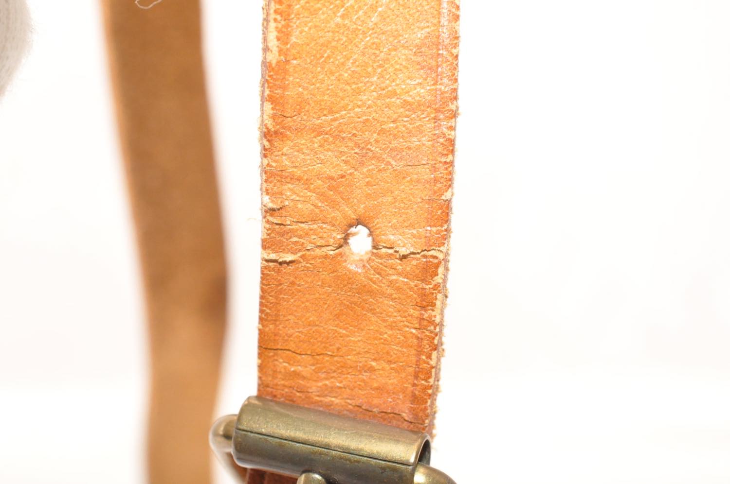 th_DSC_0682