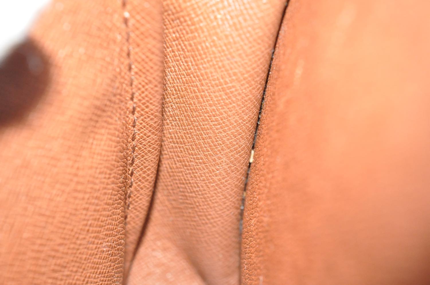 th_DSC_0695