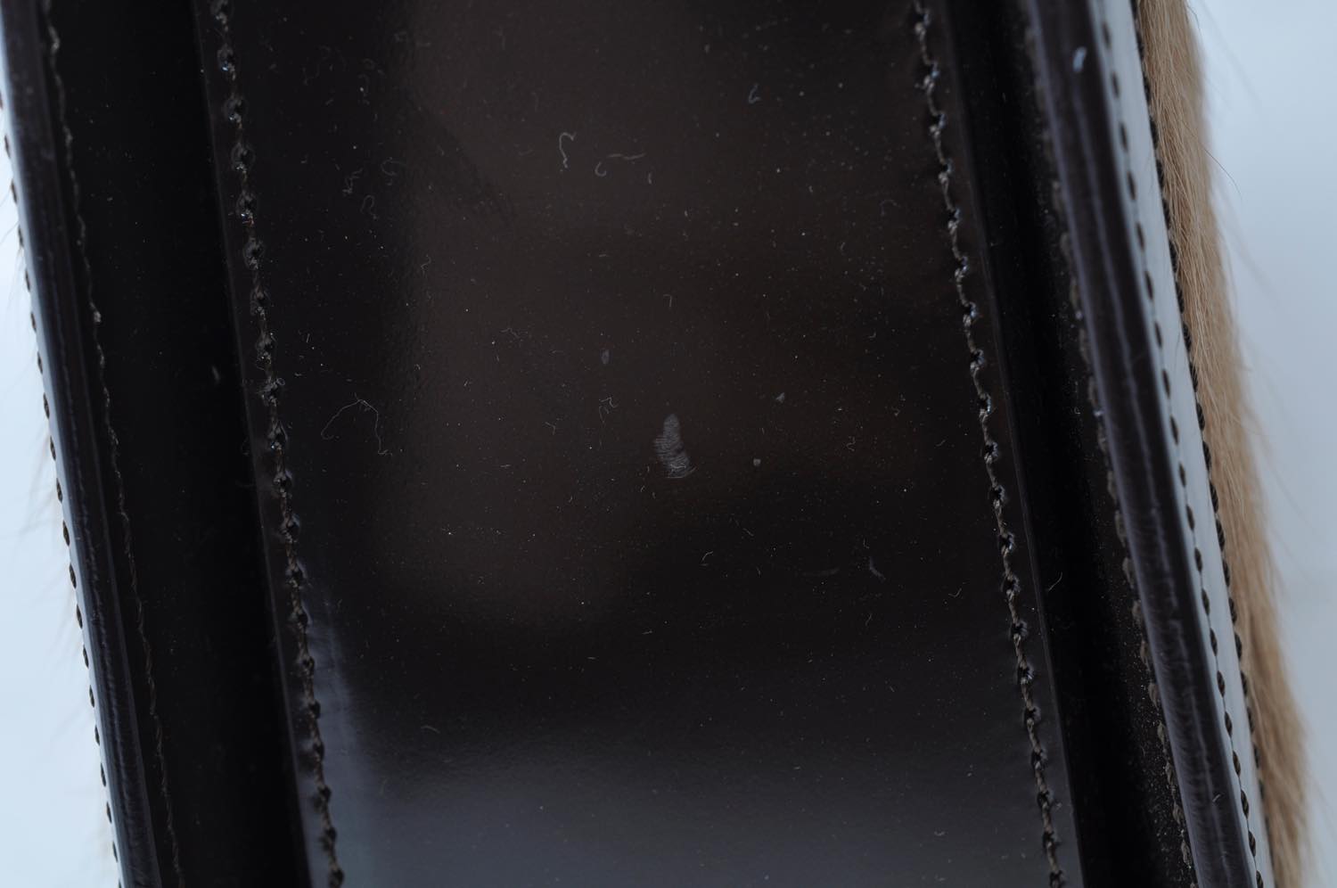 th__DSC0332