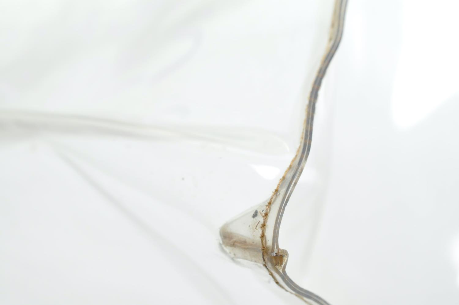 th_DSC_0282