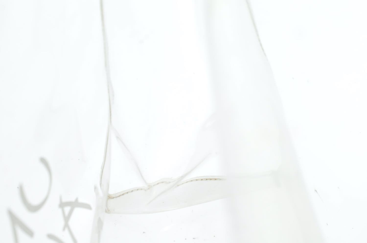 th_DSC_0286