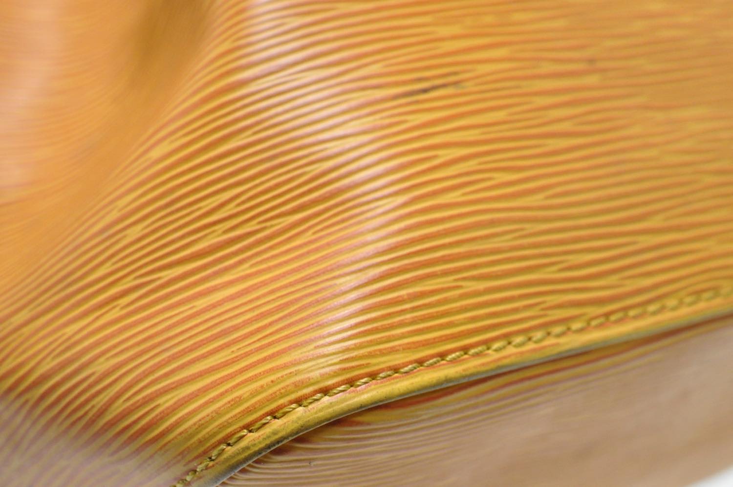 th_DSC_0501