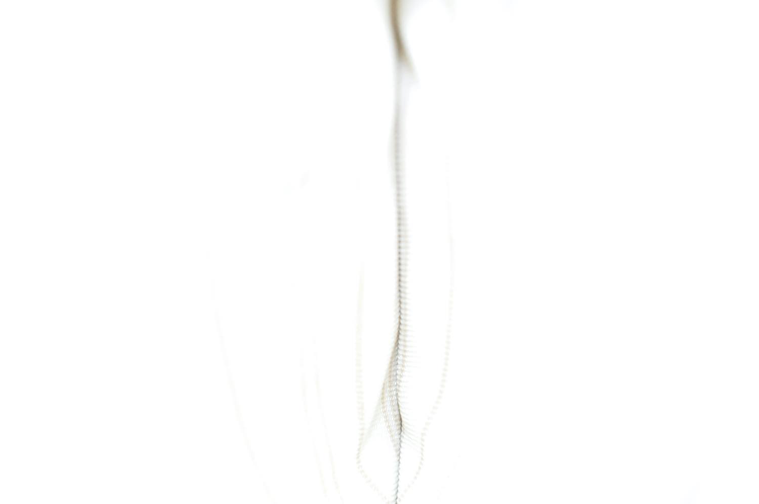 th_DSC_0534