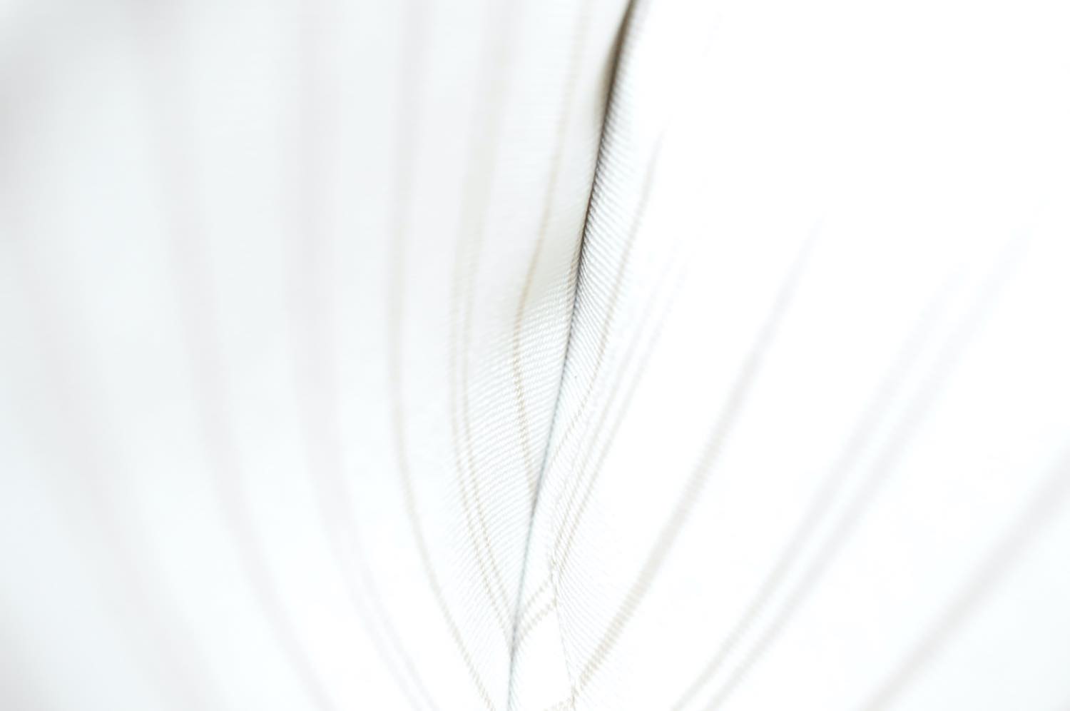 th_DSC_0535