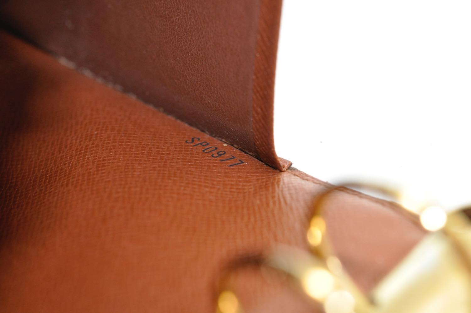 th__DSC0246