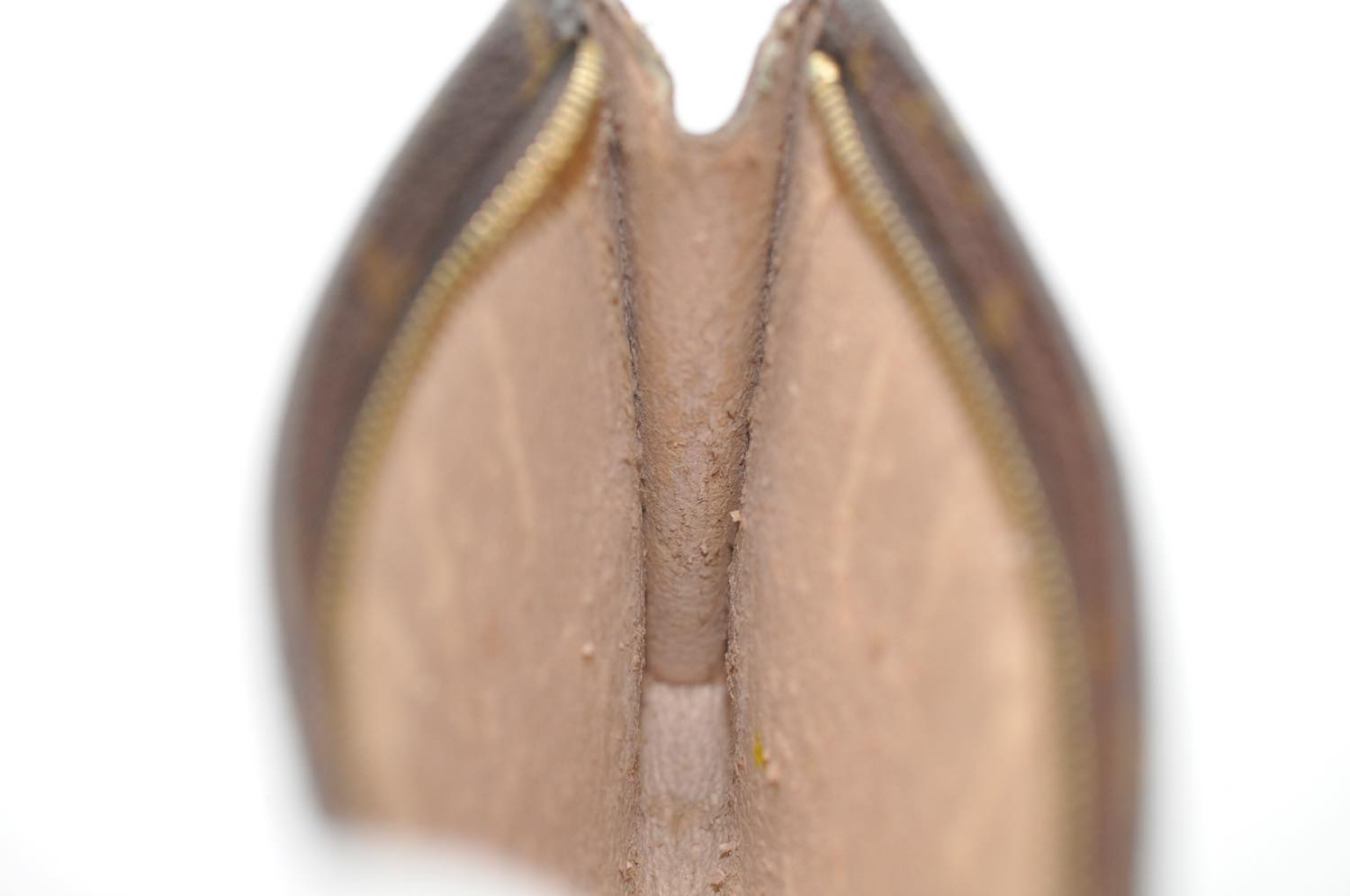 th__DSC0308